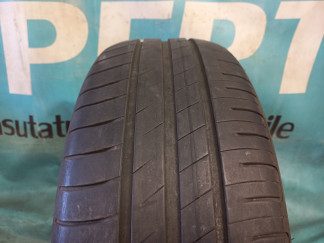 Kasutatud rehvid - GoodYear Efficientgrip performance